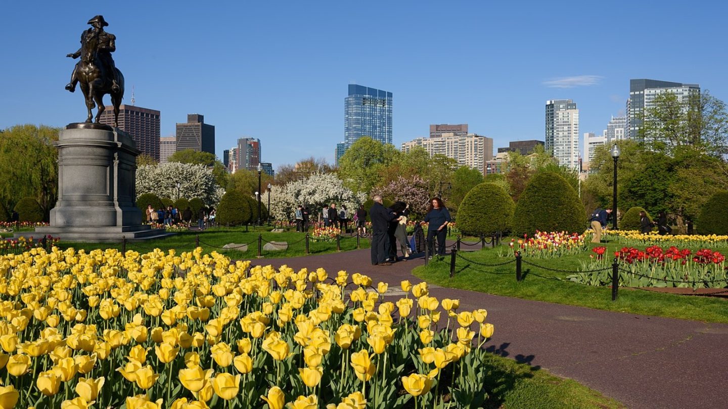 Boston Public Garden
