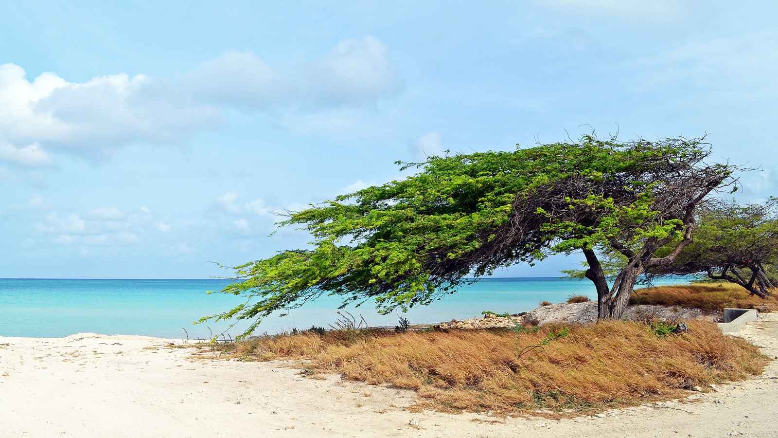 15 Caribbean Islands with the Most Crystal-Clear Waters You Have to See