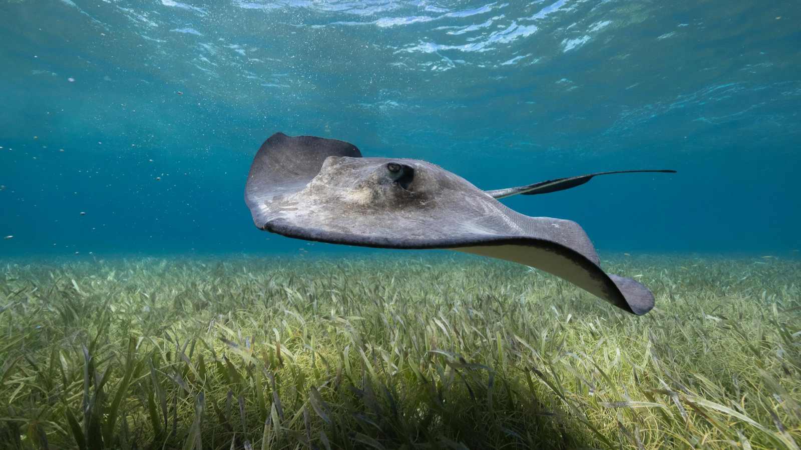 Dive Into Paradise: 15 Unforgettable Snorkeling Destinations You Need to Explore