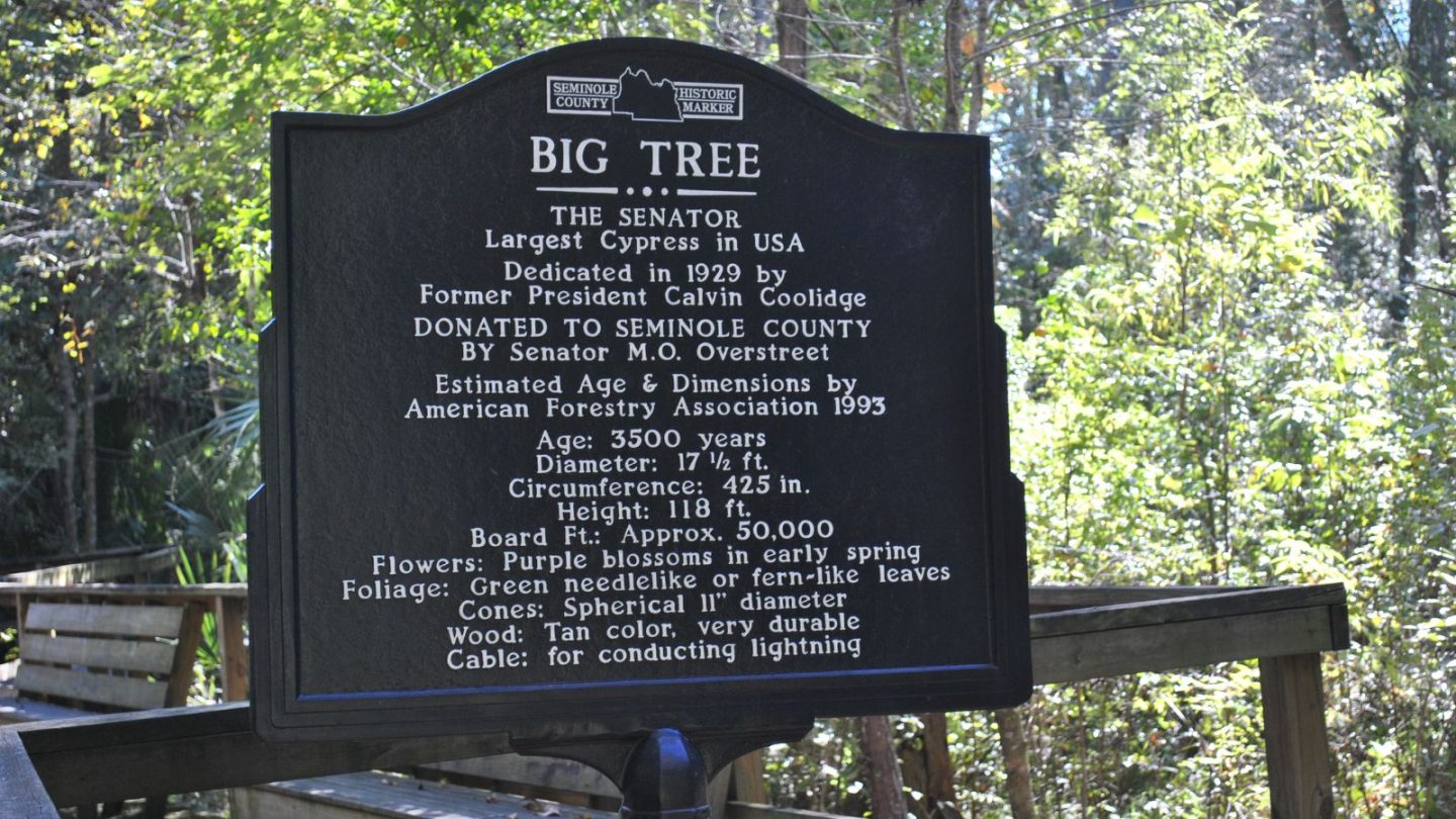 Florida’s Top Free Attractions Ranked