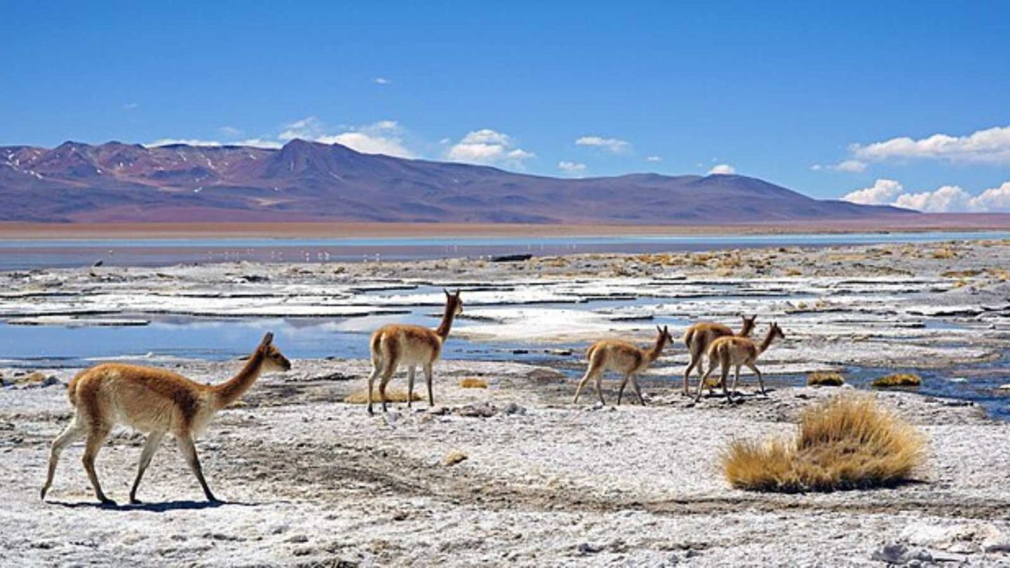 Hidden Gems: Tiny Countries That Are Perfect Escapes for Crowd-Free Adventures