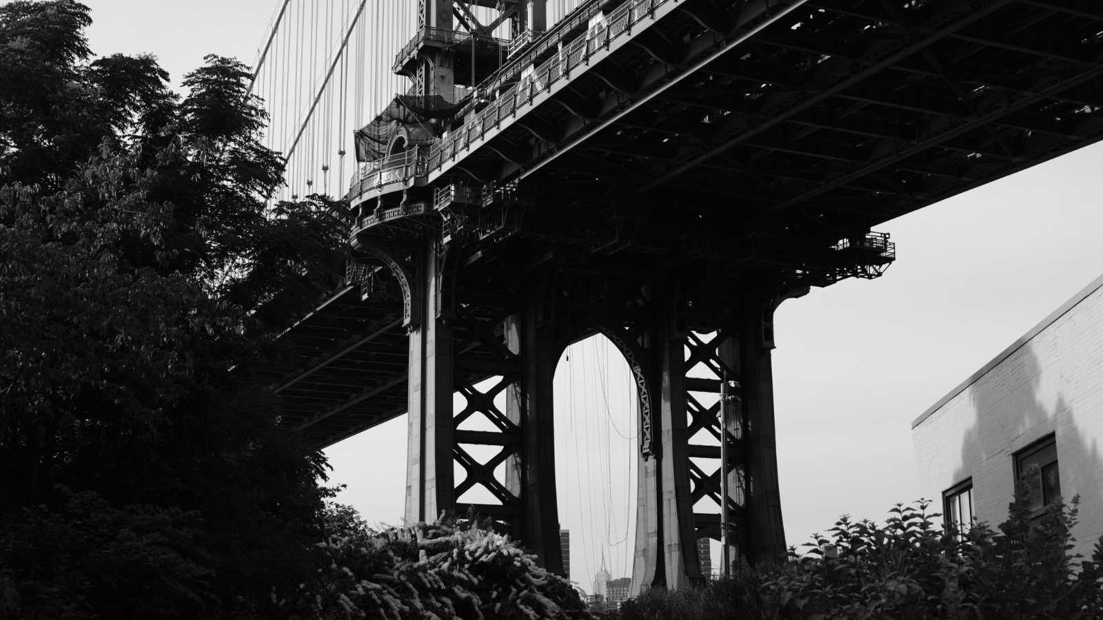 Broke in Brooklyn? Here Are 12 Awesome Adventures for $20 or Less