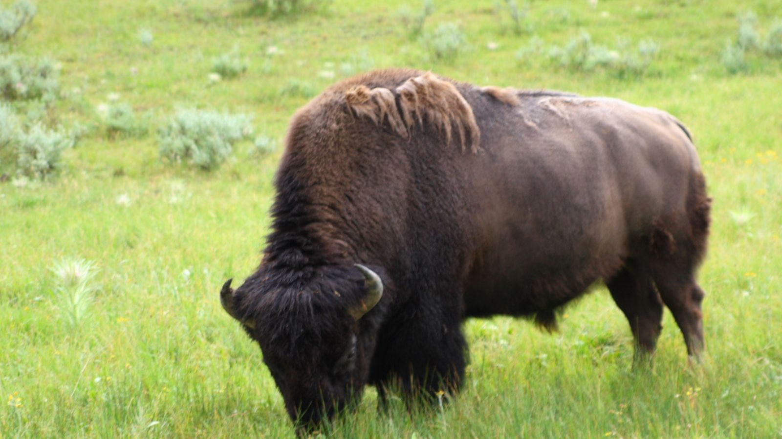 The U.S. States Where Nature’s Deadliest Creatures Lurk