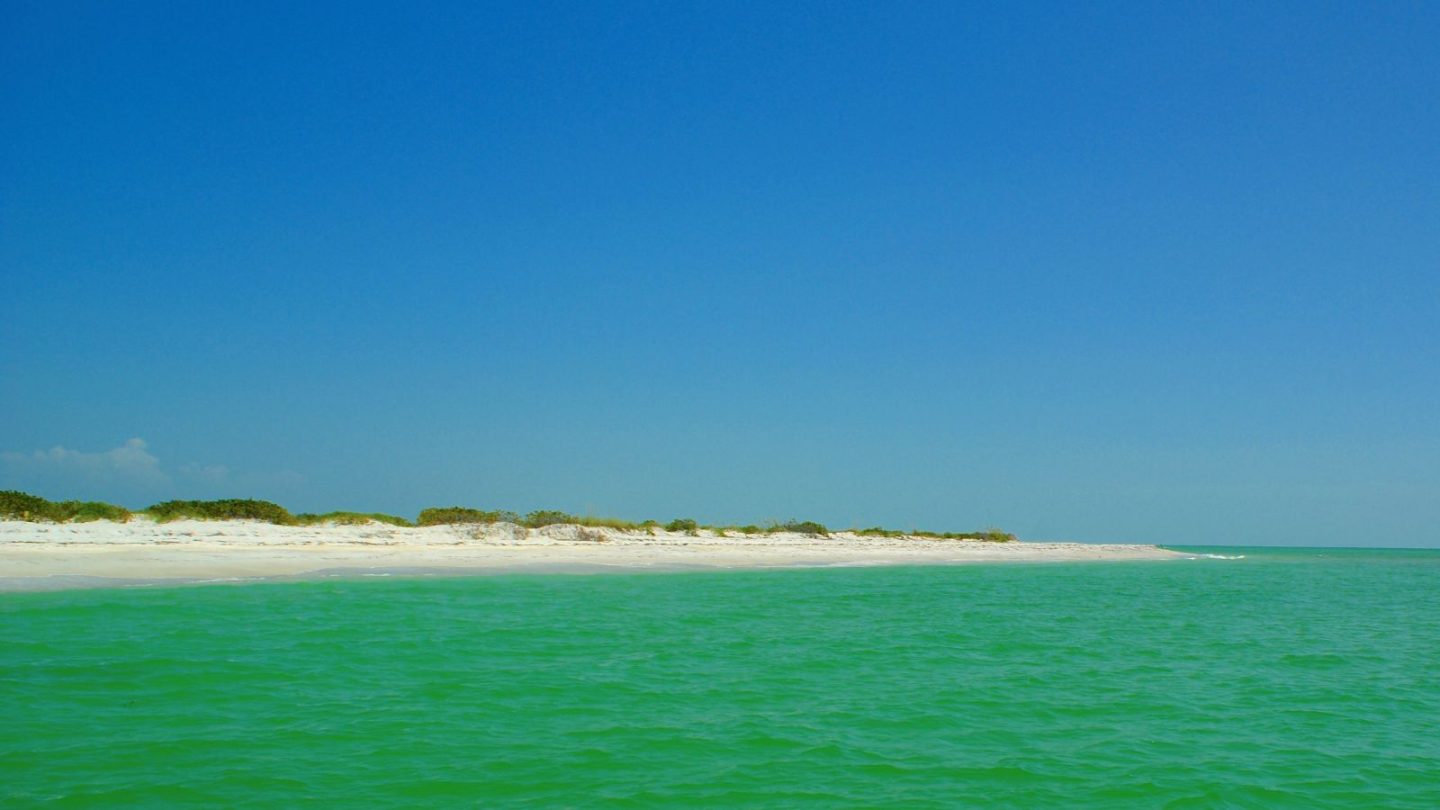 Florida’s Top Free Attractions Ranked