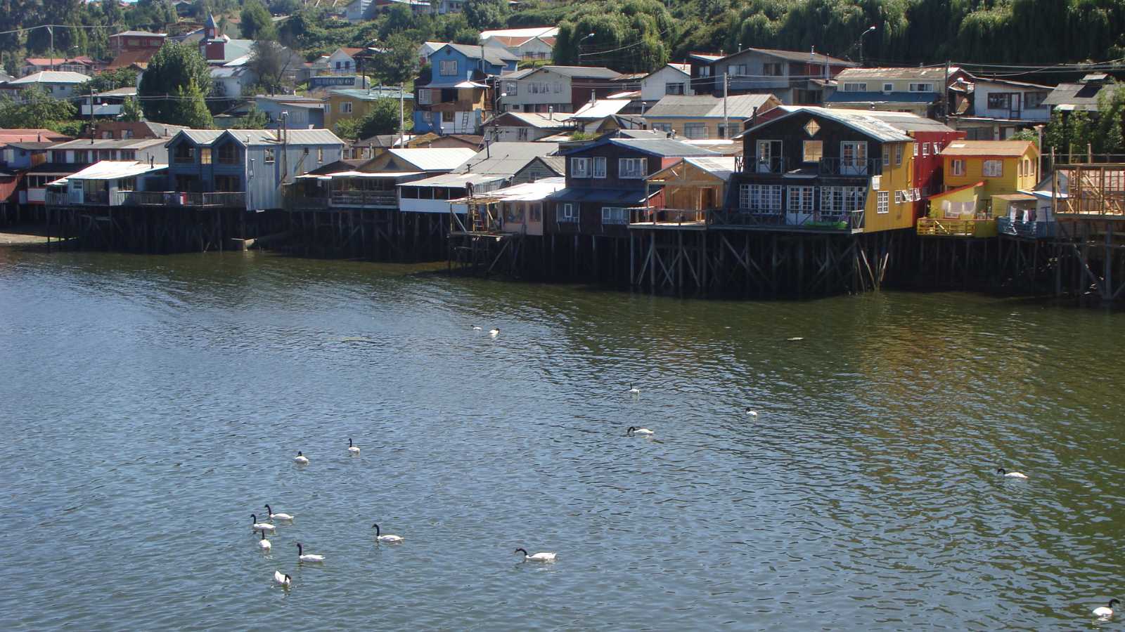 Remote Islands Where Nature Rules Untouched and Untamed 