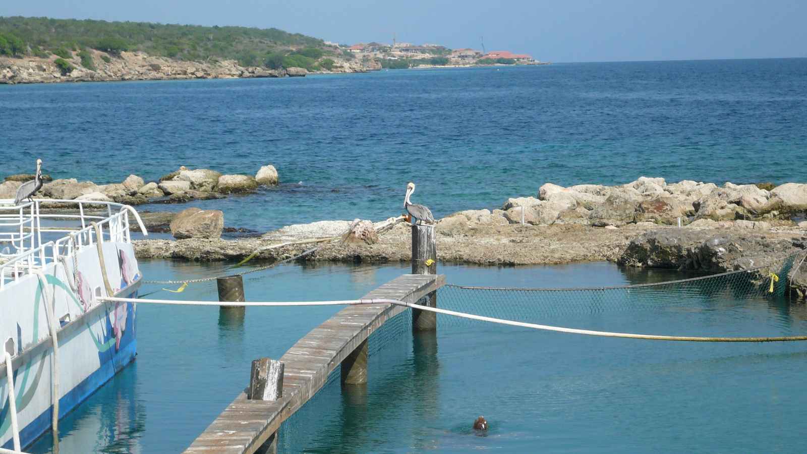 15 Caribbean Islands with the Most Crystal-Clear Waters You Have to See
