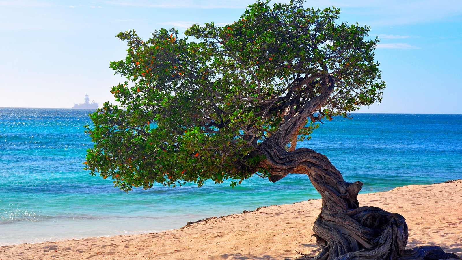 best beaches