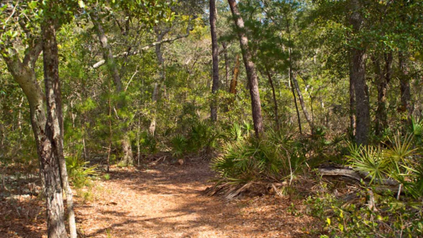 12 Amazing North American State Parks Every Fishing Enthusiast Should Visit