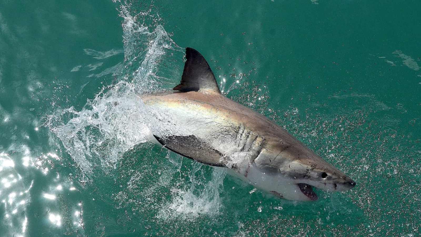 The World’s Most Dangerous Beaches