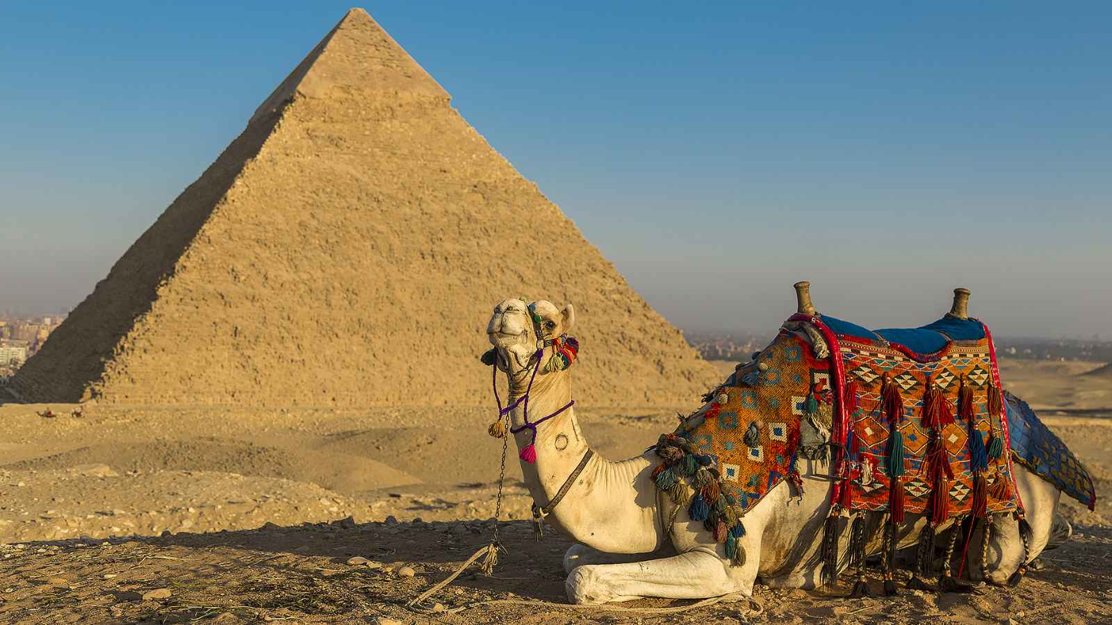 15 Tourist Traps You’ll Wish You Had Avoided