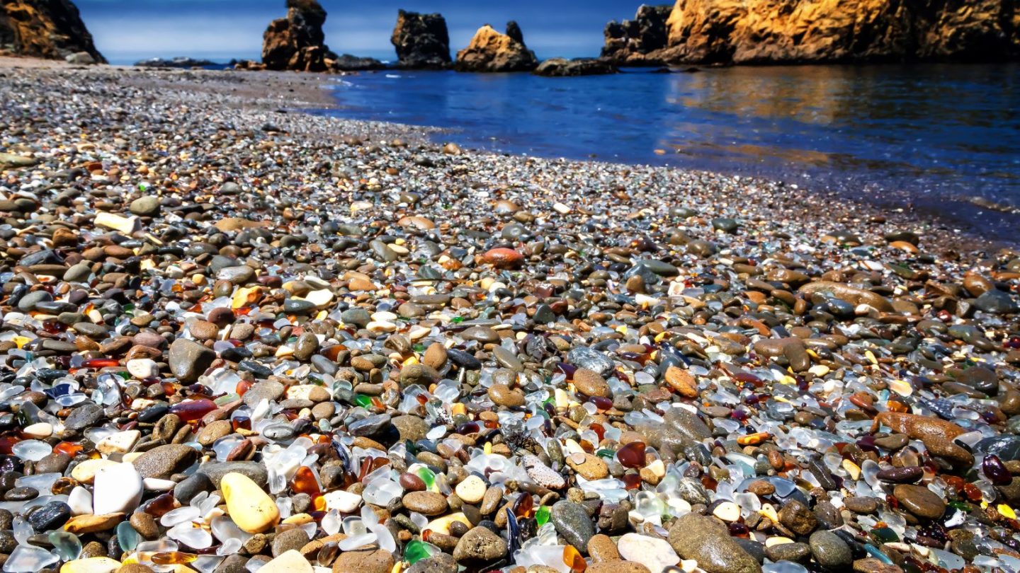 Most Bizarre Beach Discoveries