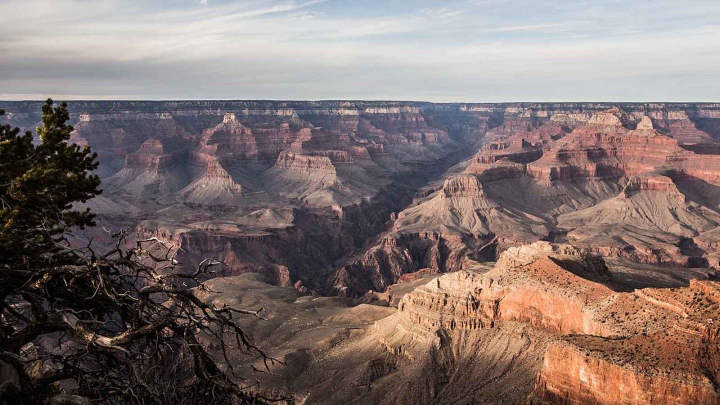 12 Must-Visit Places for Bird-Watching Enthusiasts in America