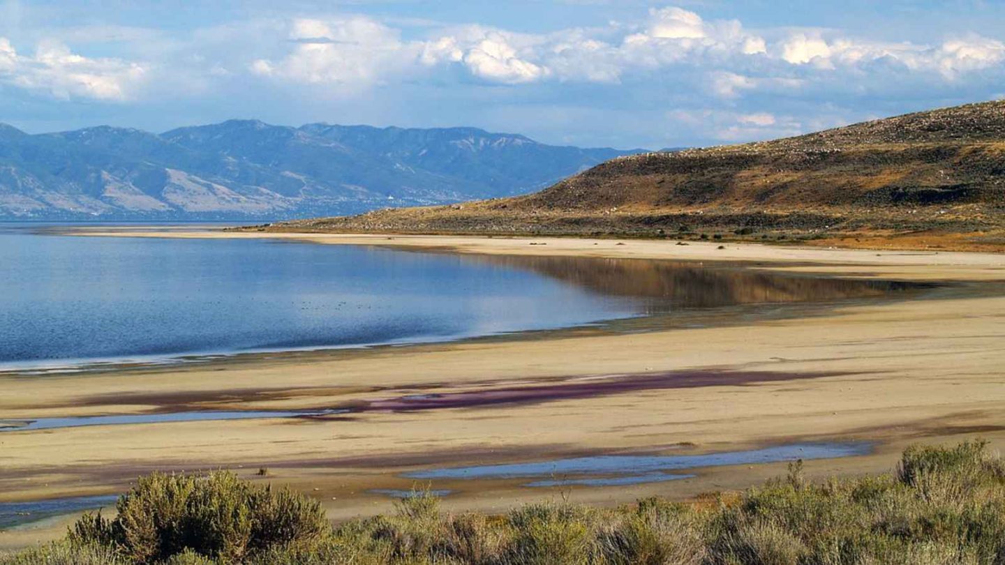 12 Must-Visit Places for Bird-Watching Enthusiasts in America