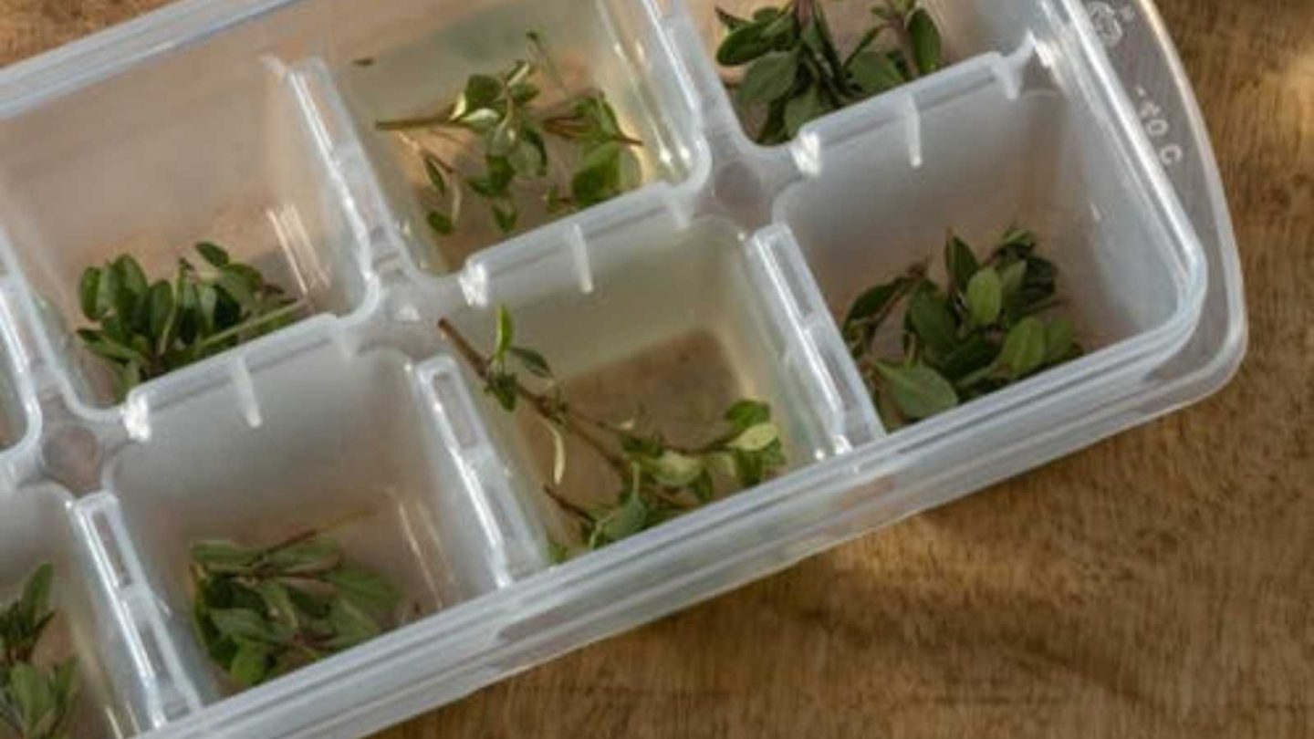 17 Genius Cooking Hacks to Whip Up Quick and Easy Meals in No Time