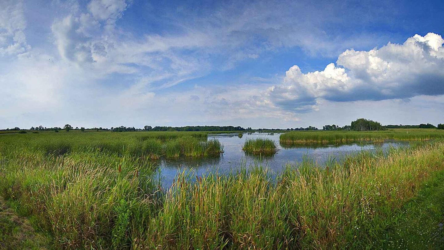 12 Must-Visit Places for Bird-Watching Enthusiasts in America