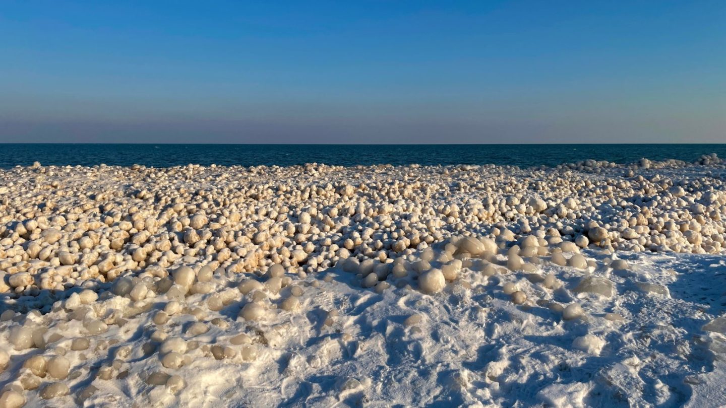 Most Bizarre Beach Discoveries
