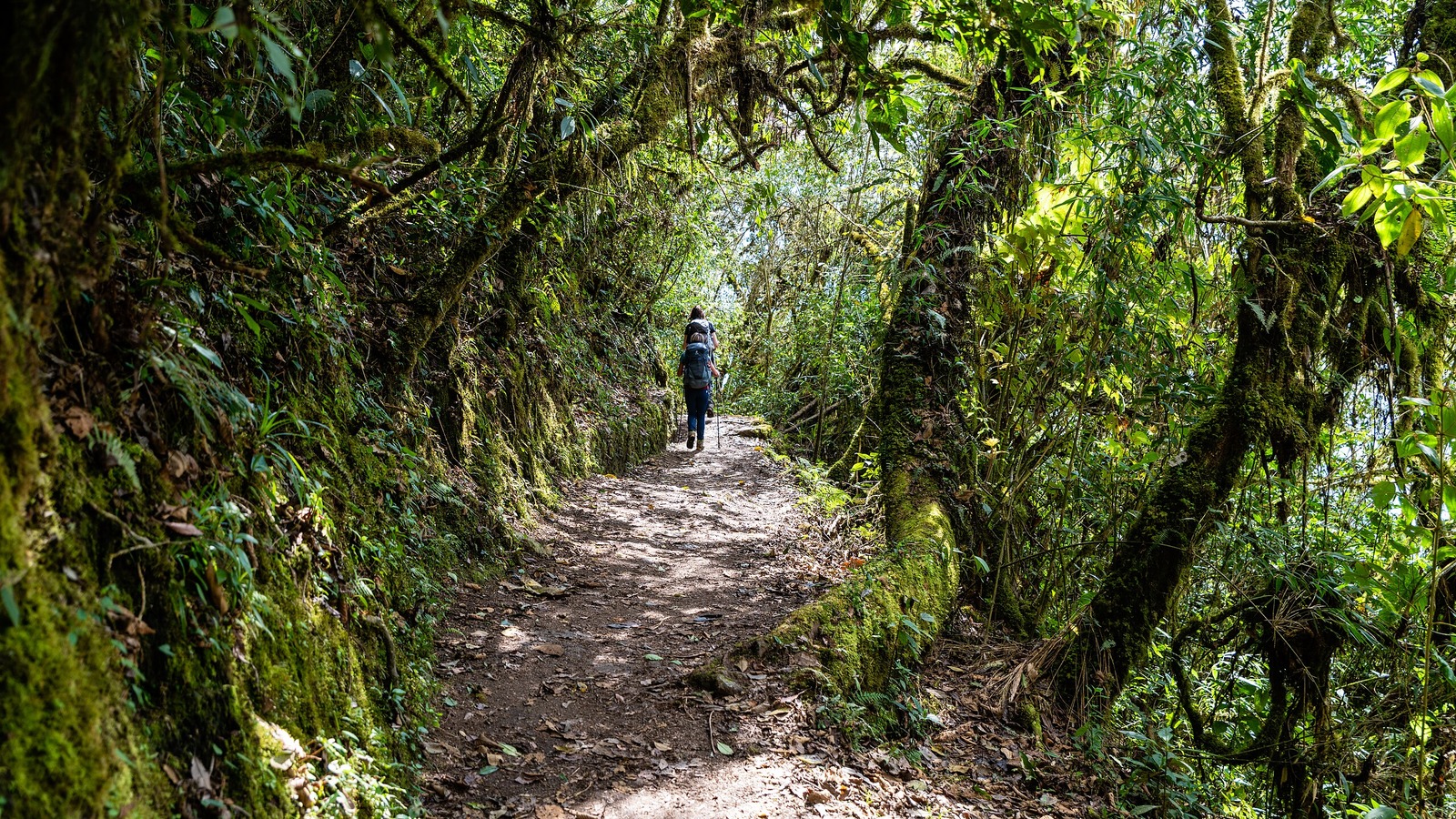 Inca Trail, Peru