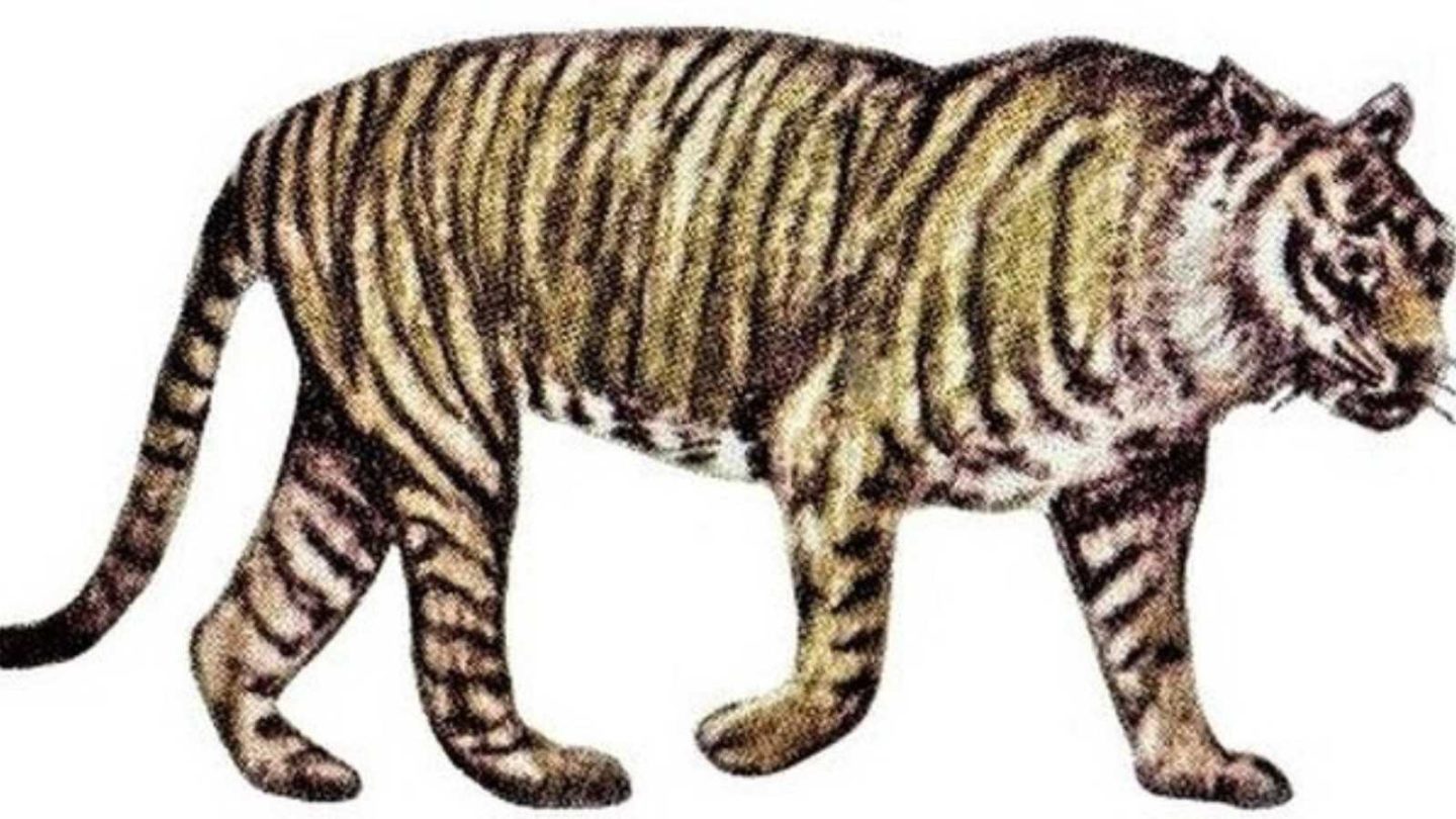 Remarkable Animals That Disappeared Forever in the Last 150 Years  
