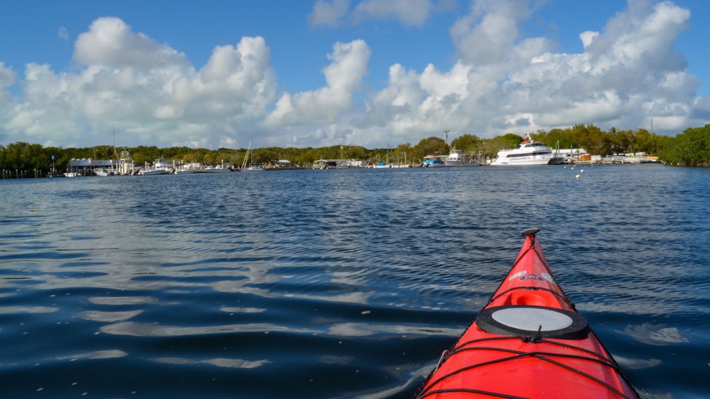 Florida’s Top Free Attractions Ranked