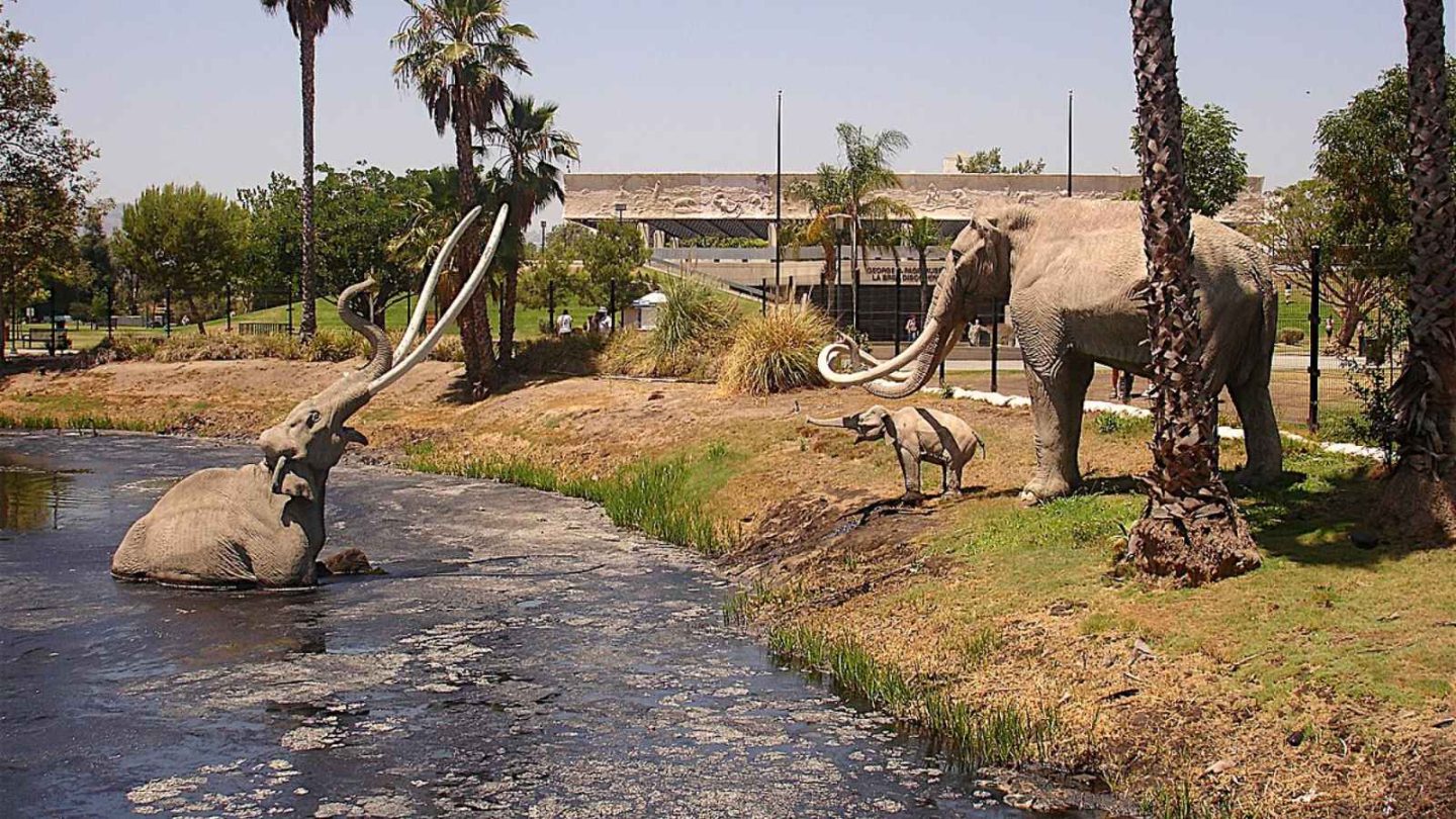 12 Incredible Destinations to Follow in the Footsteps of Dinosaurs
