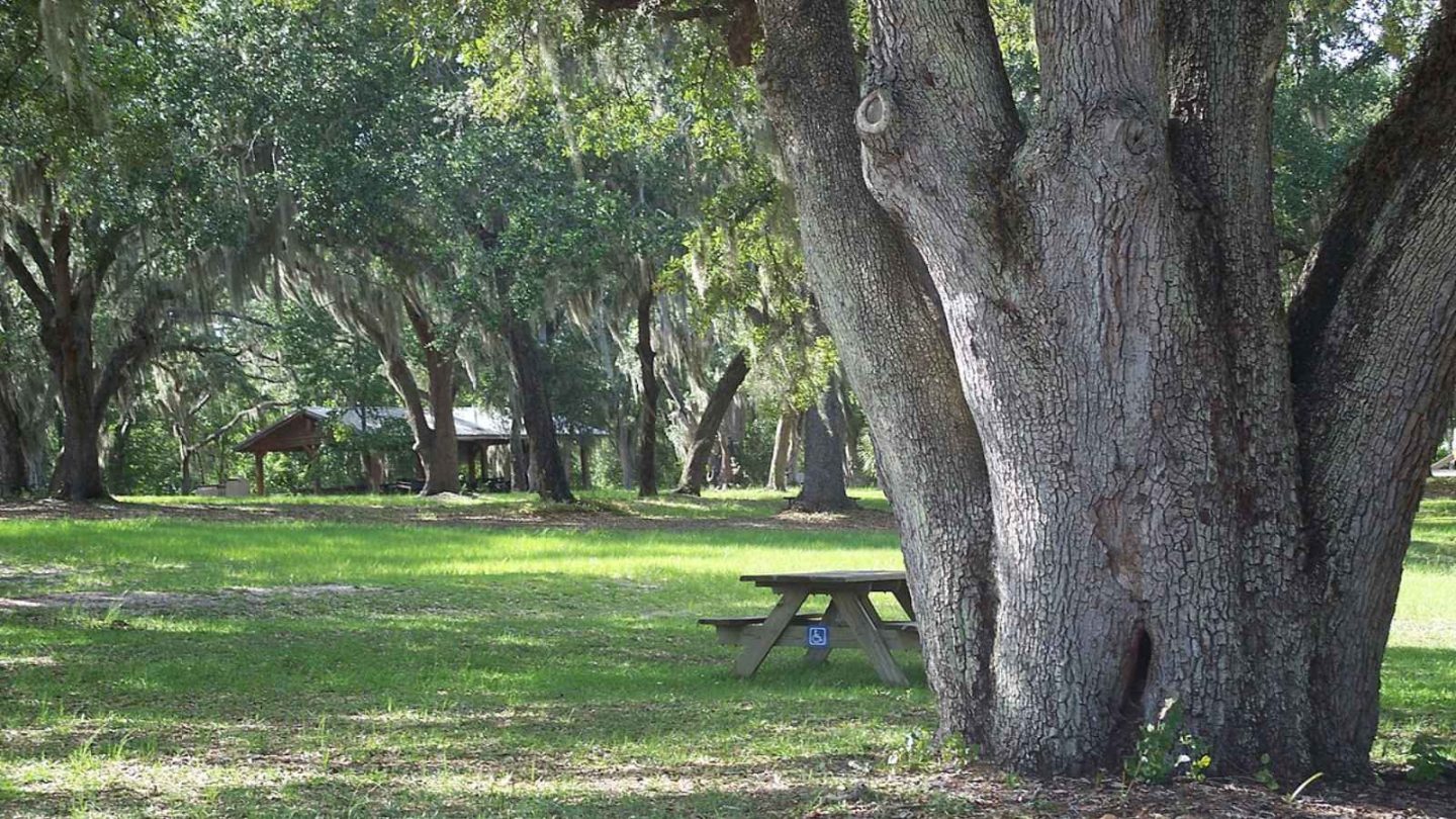 12 Amazing North American State Parks Every Fishing Enthusiast Should Visit