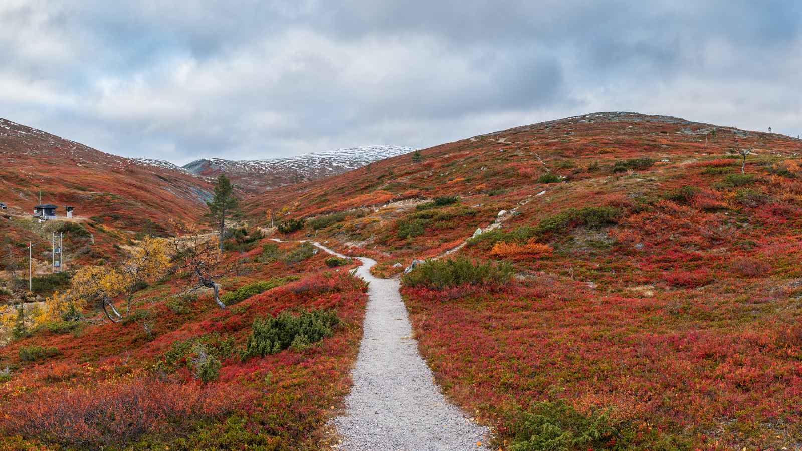 10 Places You Should Skip with Kids & 10 That Are a Perfect Fit for Family Travel