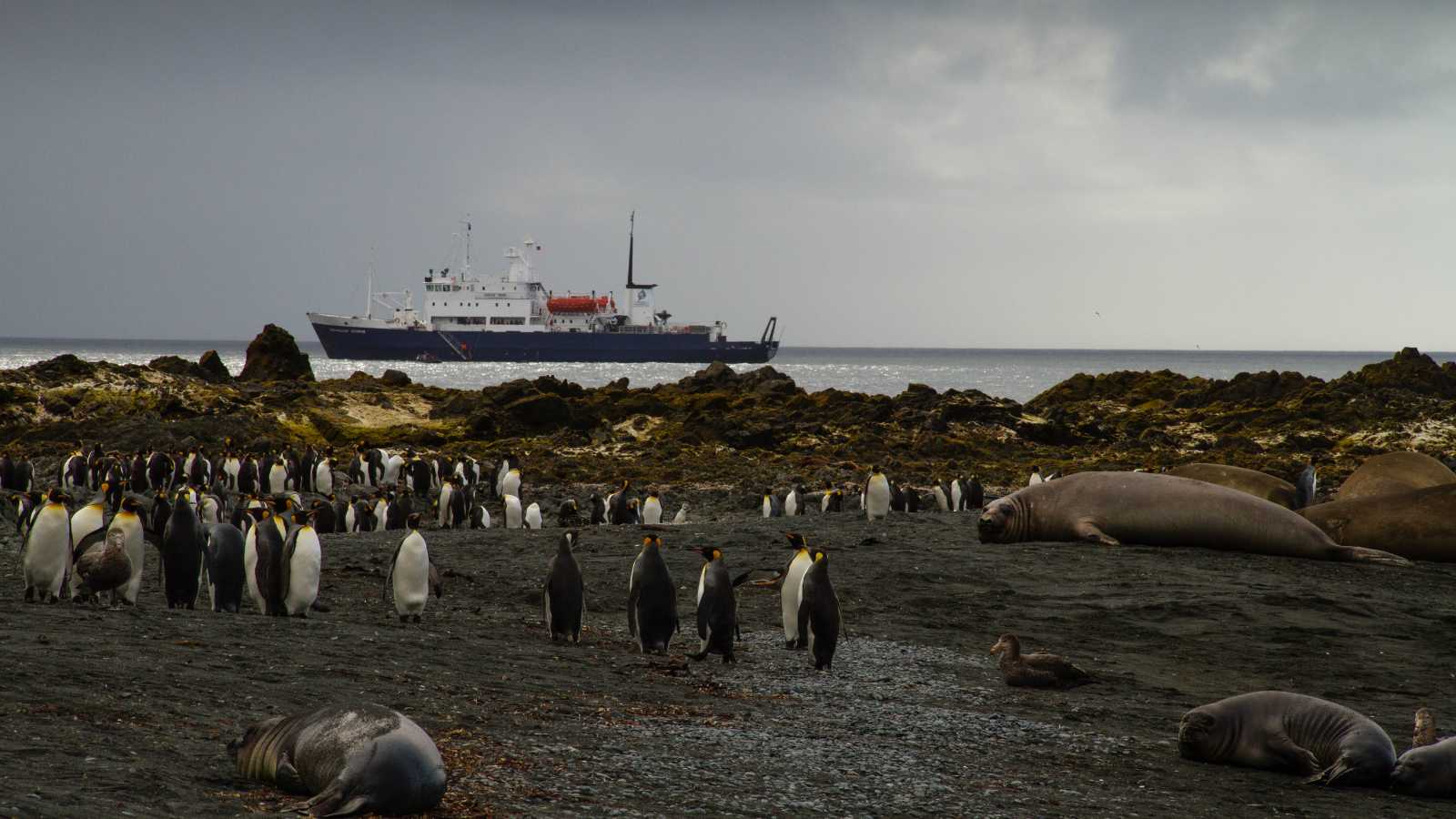 Remote Islands Where Nature Rules Untouched and Untamed 