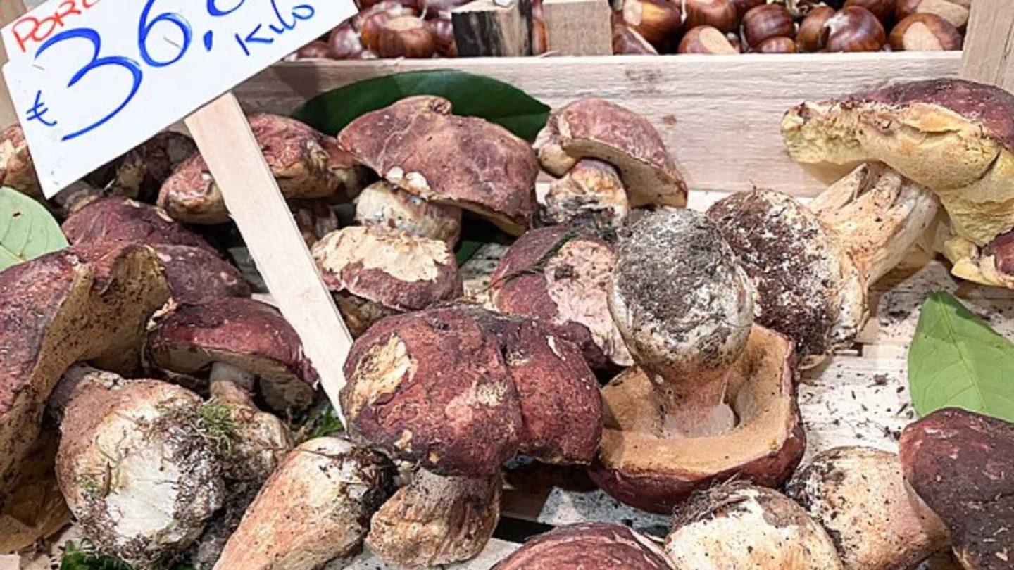 Mouthwatering Food Markets That Will Ignite Your Street Food Obsession