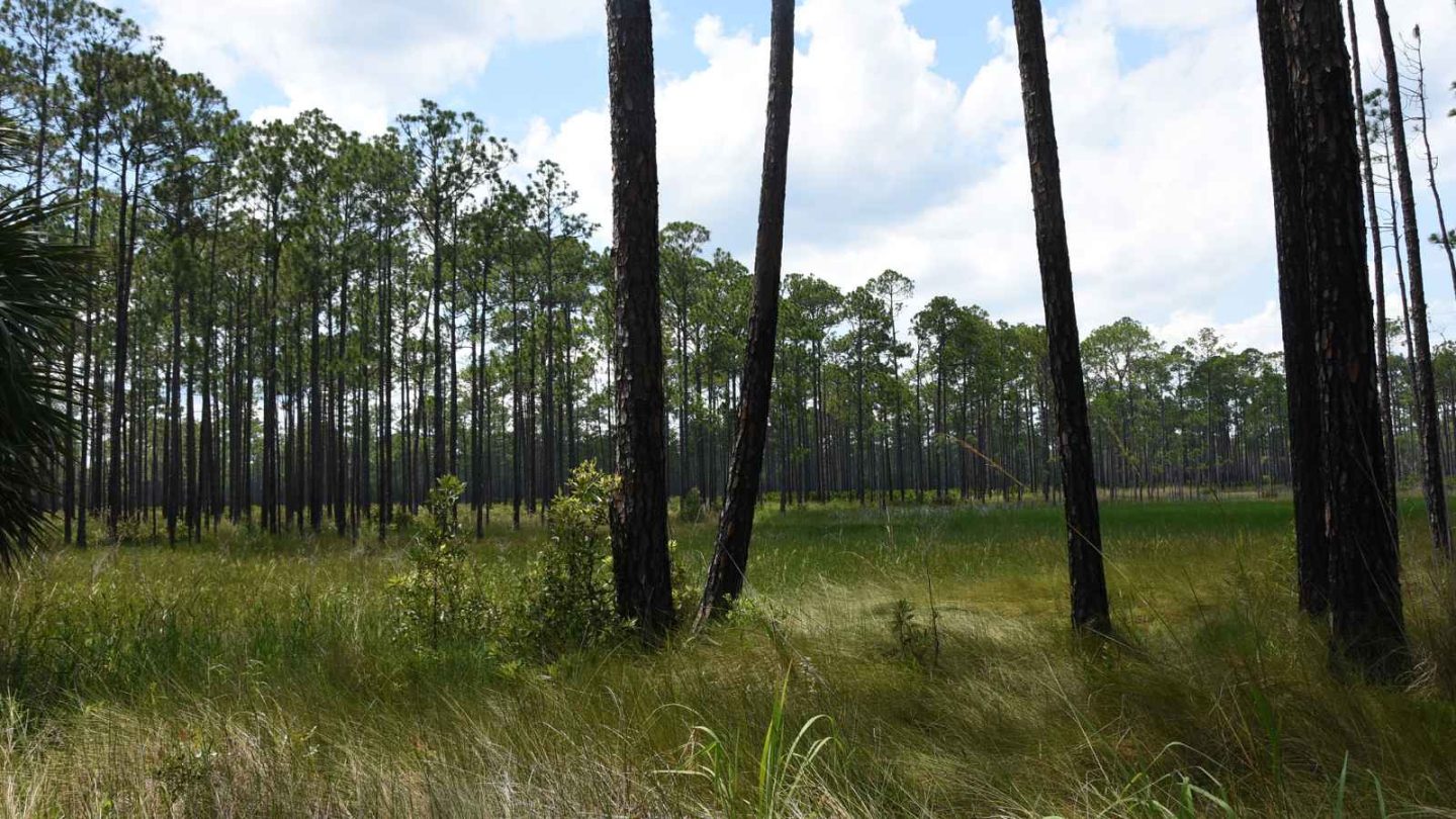 12 Amazing North American State Parks Every Fishing Enthusiast Should Visit