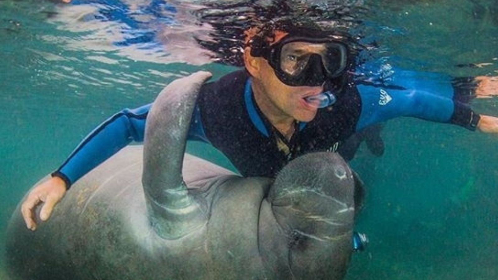 Epic Spots to Swim With Unique Marine Creatures (No Sharks or Dolphins)