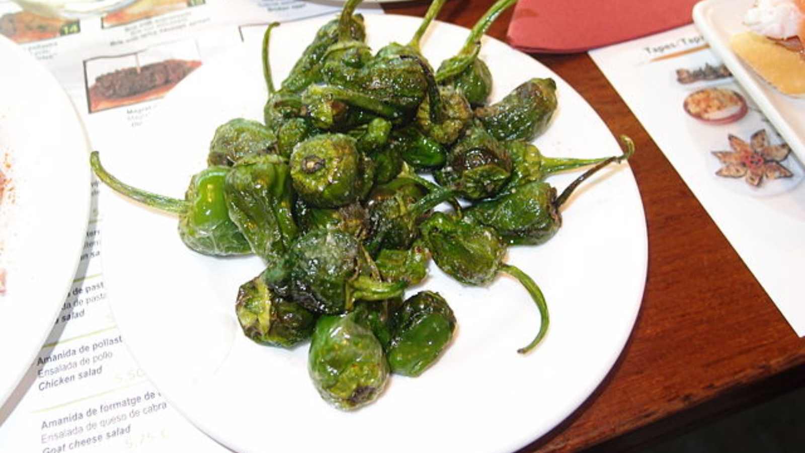 Best Regional Dishes in Spain You Can’t Miss