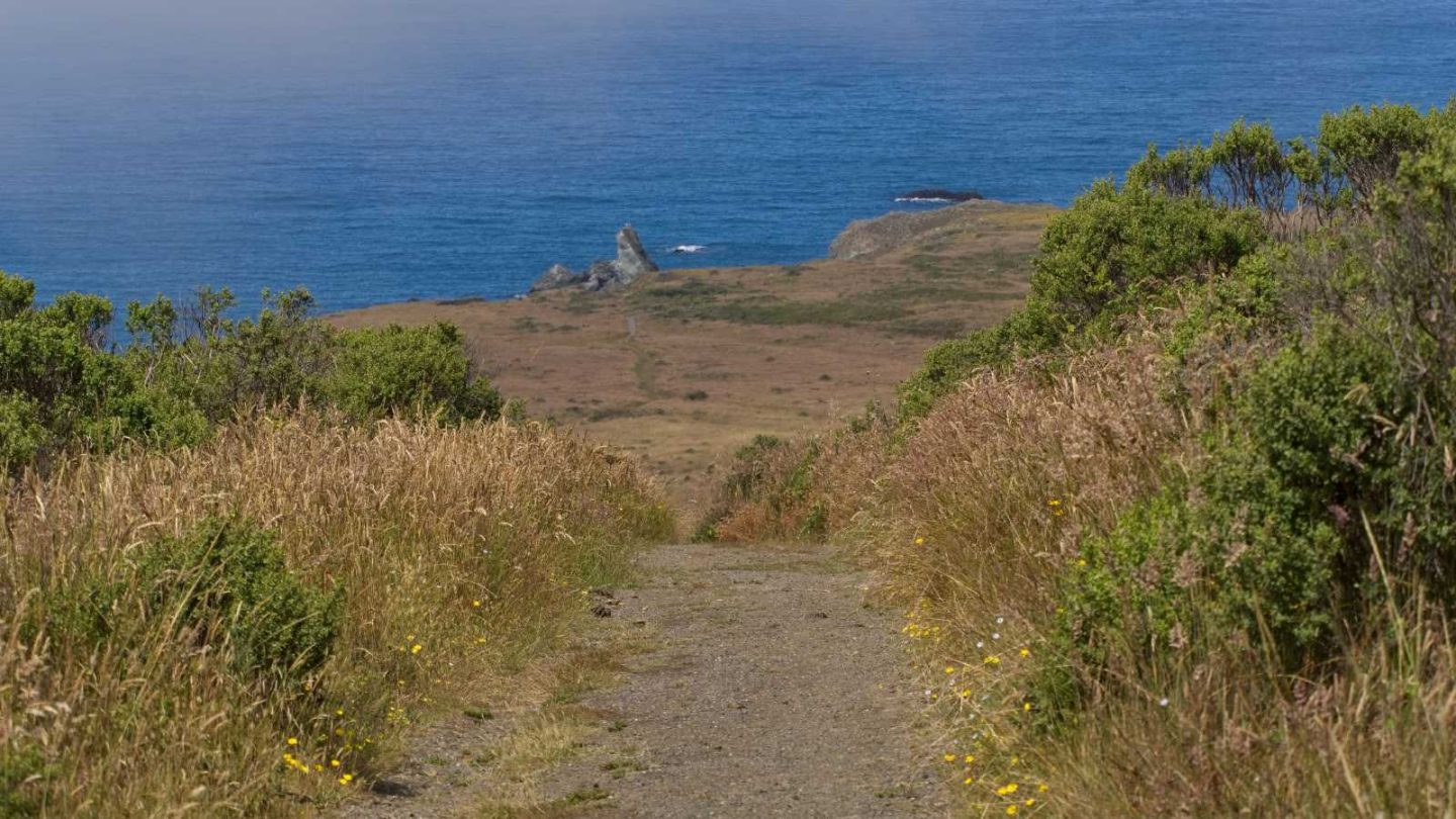 Enchanting Sonoma Coast Trails Where Nature Feels Like Pure Magic