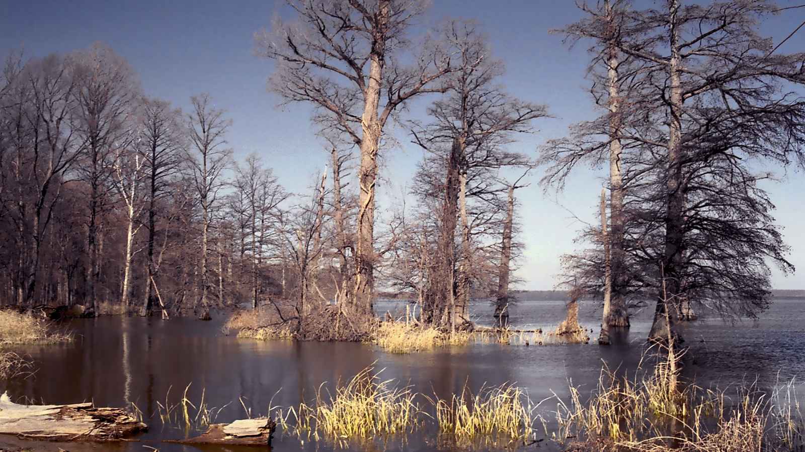 15 Awesome Things to Experience in Tennessee