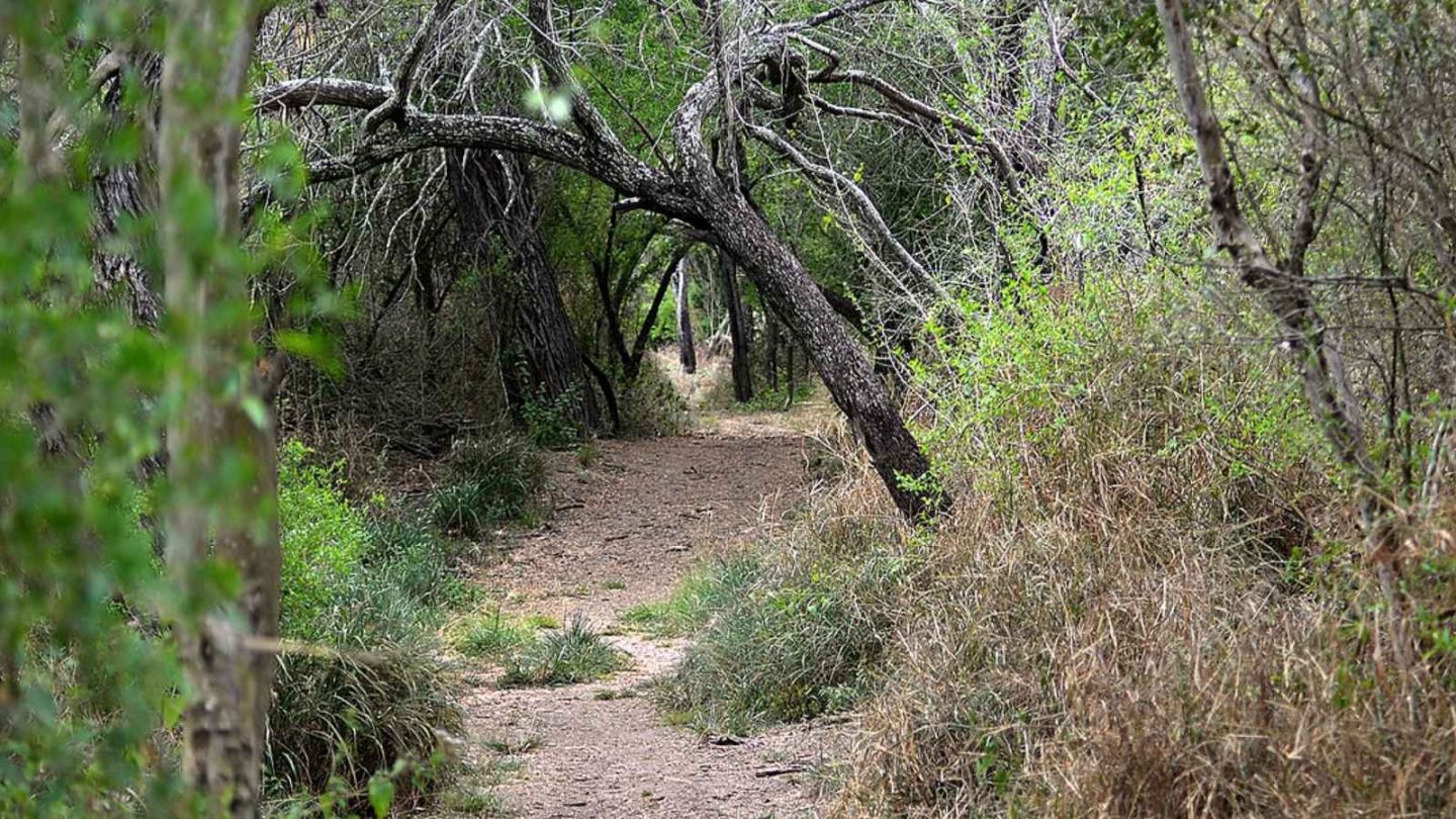 12 Must-Visit Places for Bird-Watching Enthusiasts in America