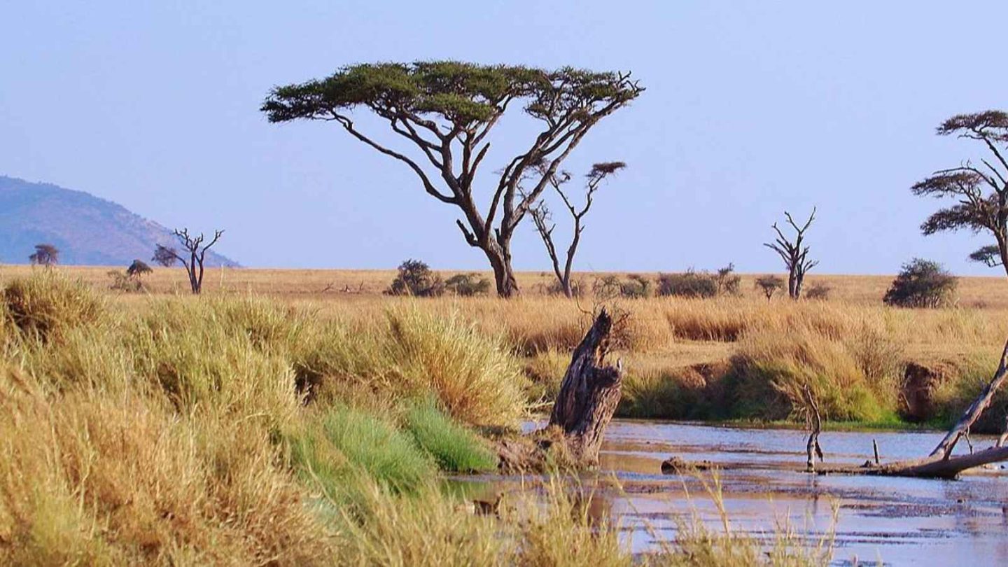 14 Must-See New UNESCO Sites to Add to Your Travel Bucket List