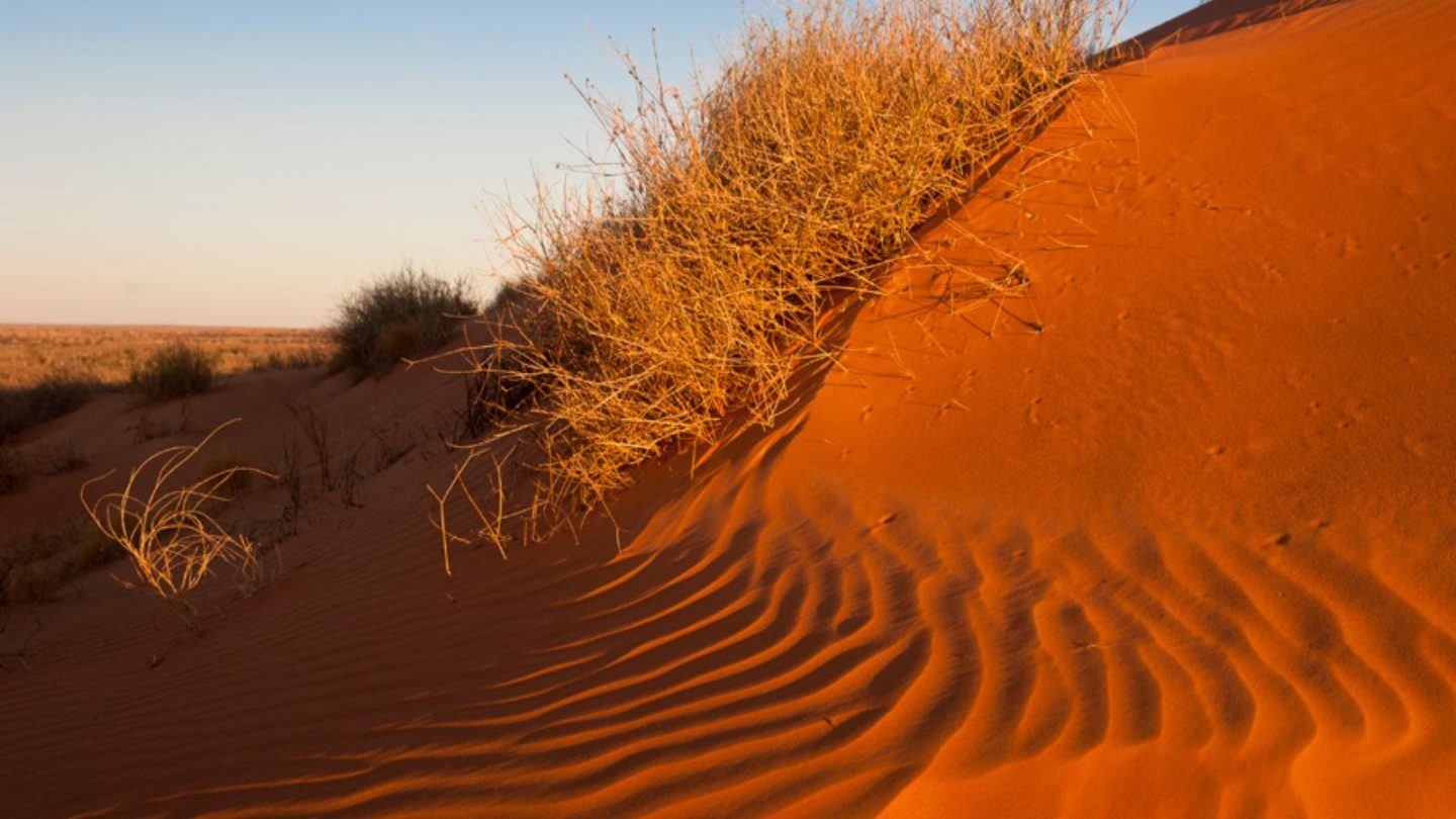 Epic Desert Hiking Adventures Around the World You Can't Miss 