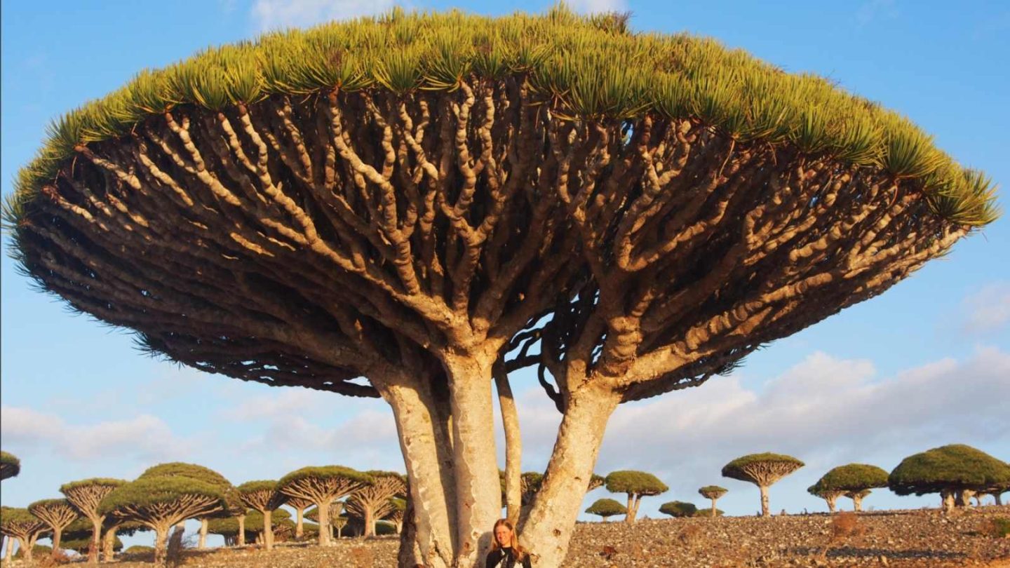 15 Hidden Gems You’ve Never Heard of That Deserve a Spot on Your Travel Bucket List