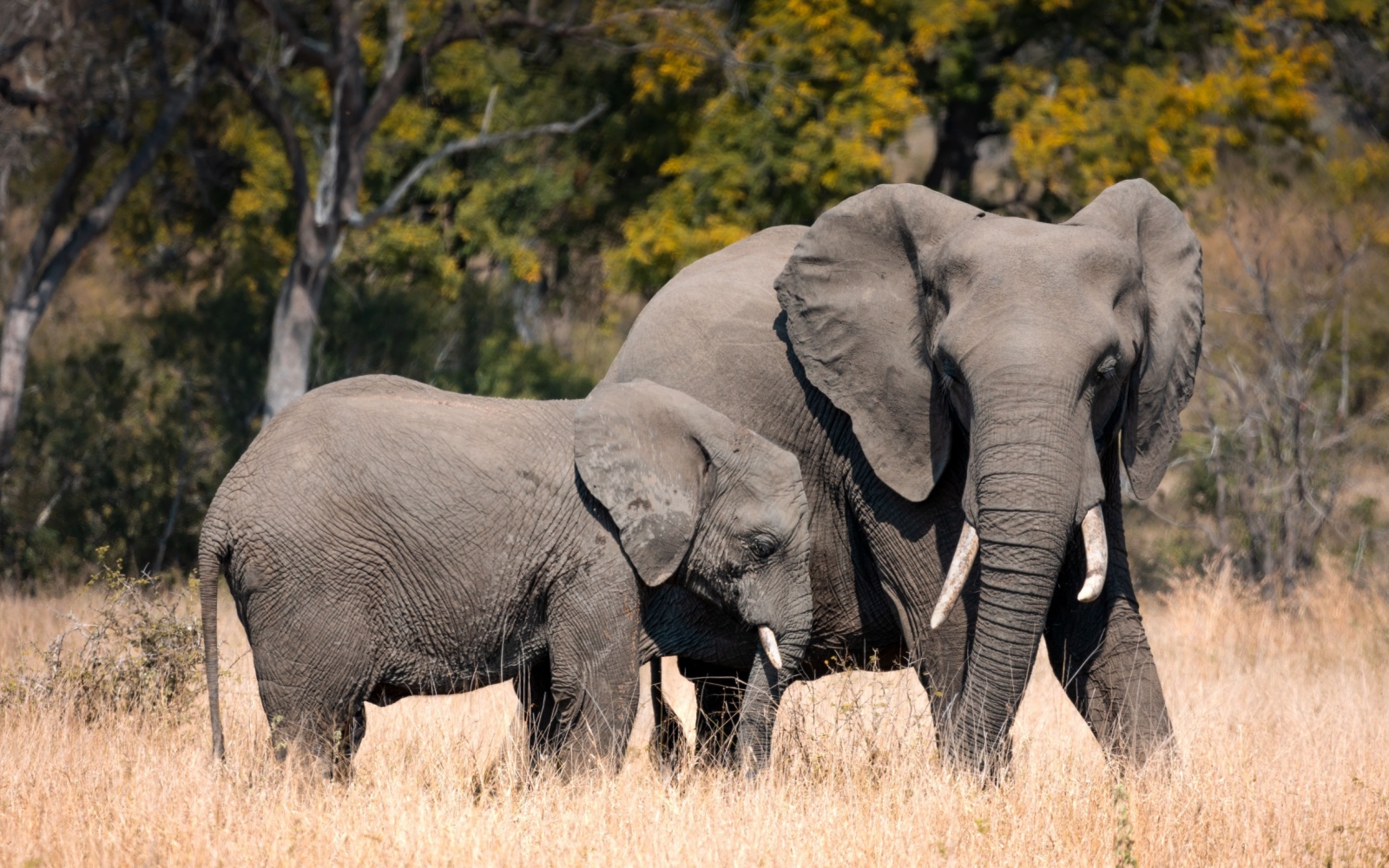 Breathtaking African Destinations You Must Visit