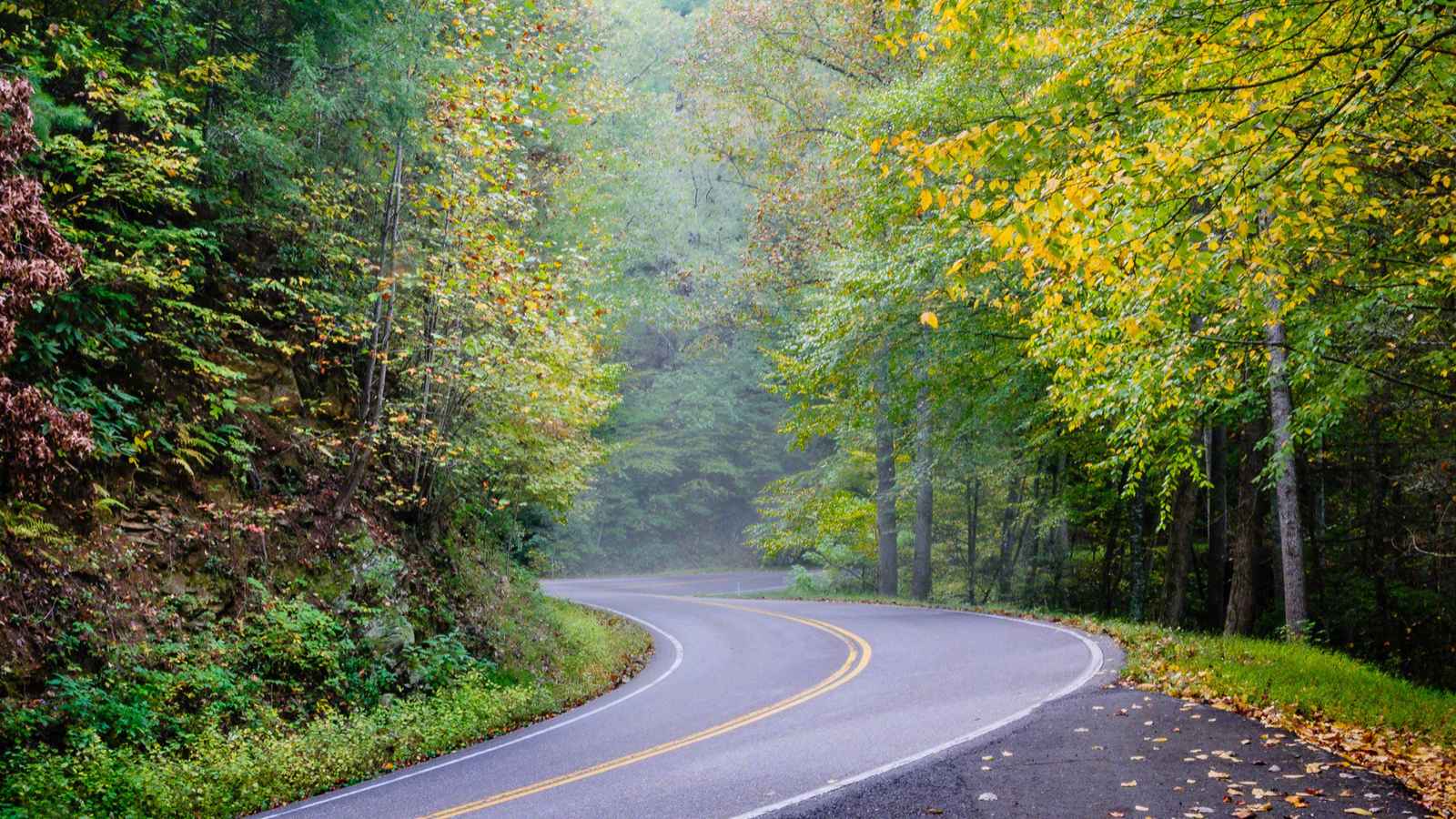 15 Deadly Roads in America You Should Never Drive On