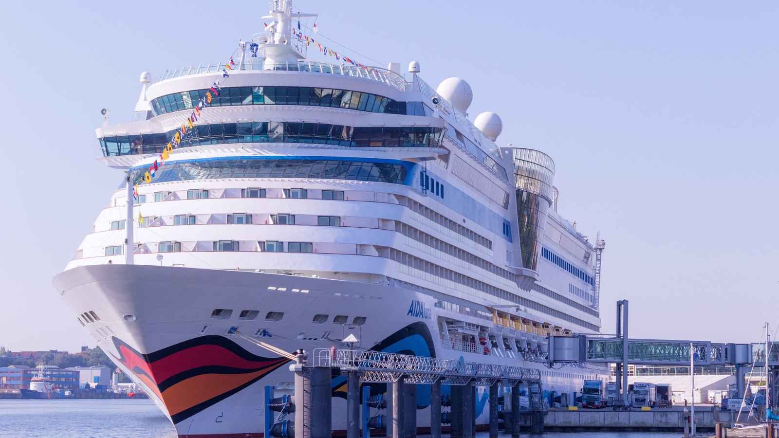 15 Things You Should Never Buy on a Cruise Ship