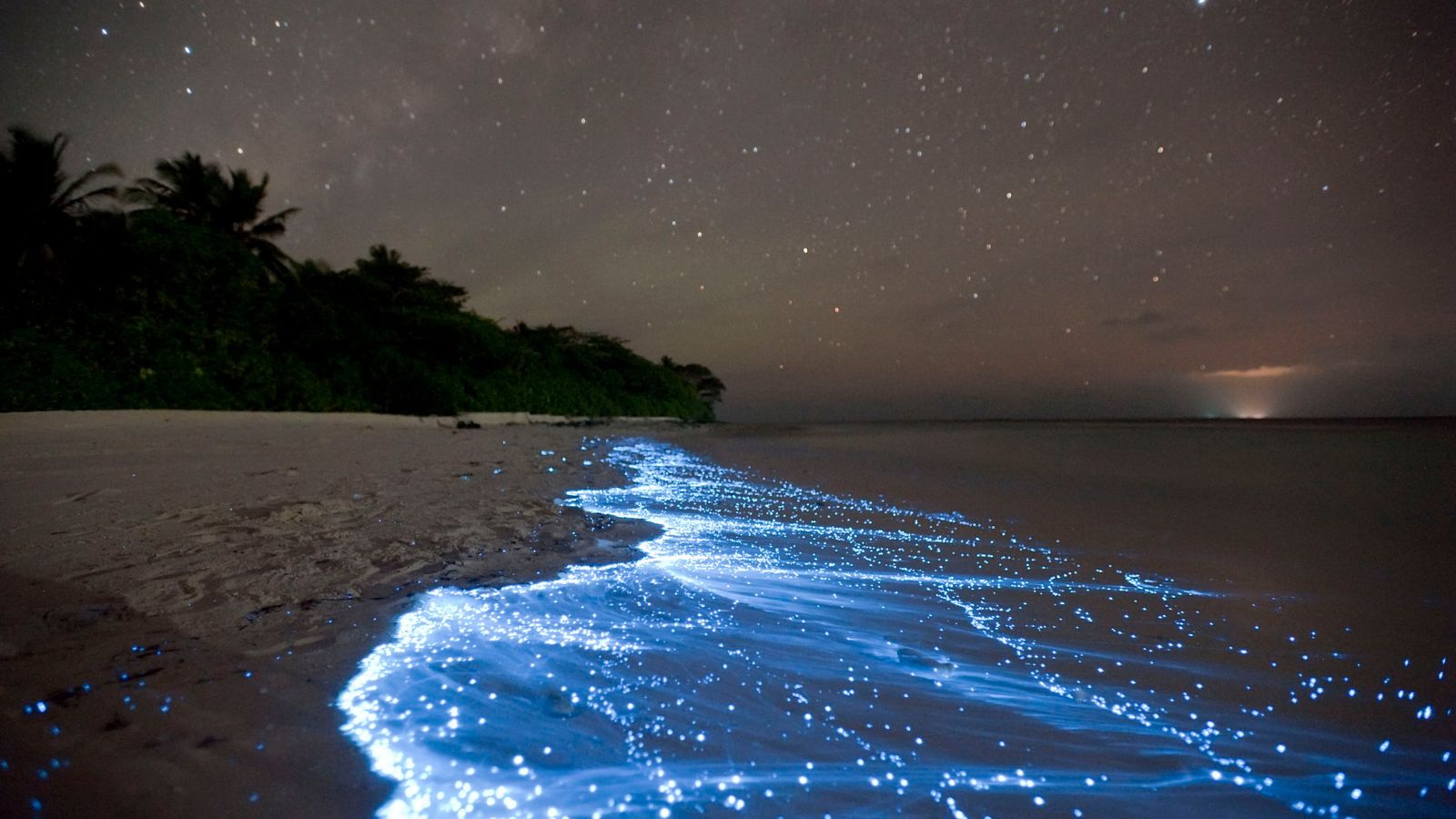 Mesmerizing Destinations to Witness Glow-In-The-Dark Natural Wonders