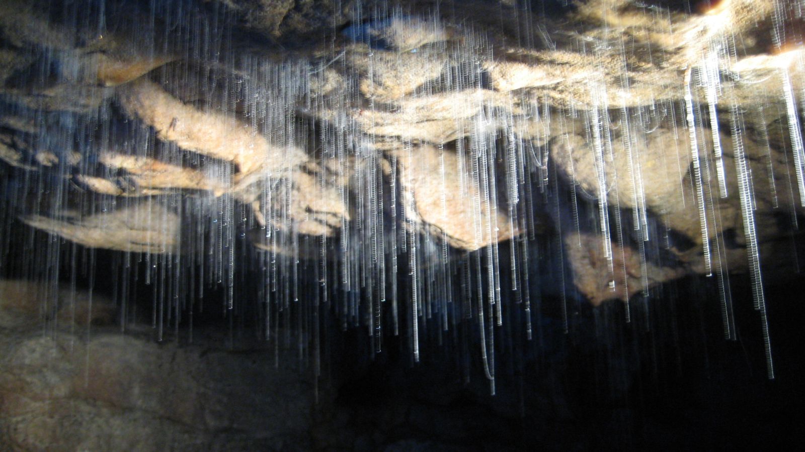Mesmerizing Destinations to Witness Glow-In-The-Dark Natural Wonders