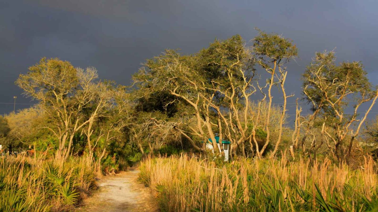 12 Amazing North American State Parks Every Fishing Enthusiast Should Visit