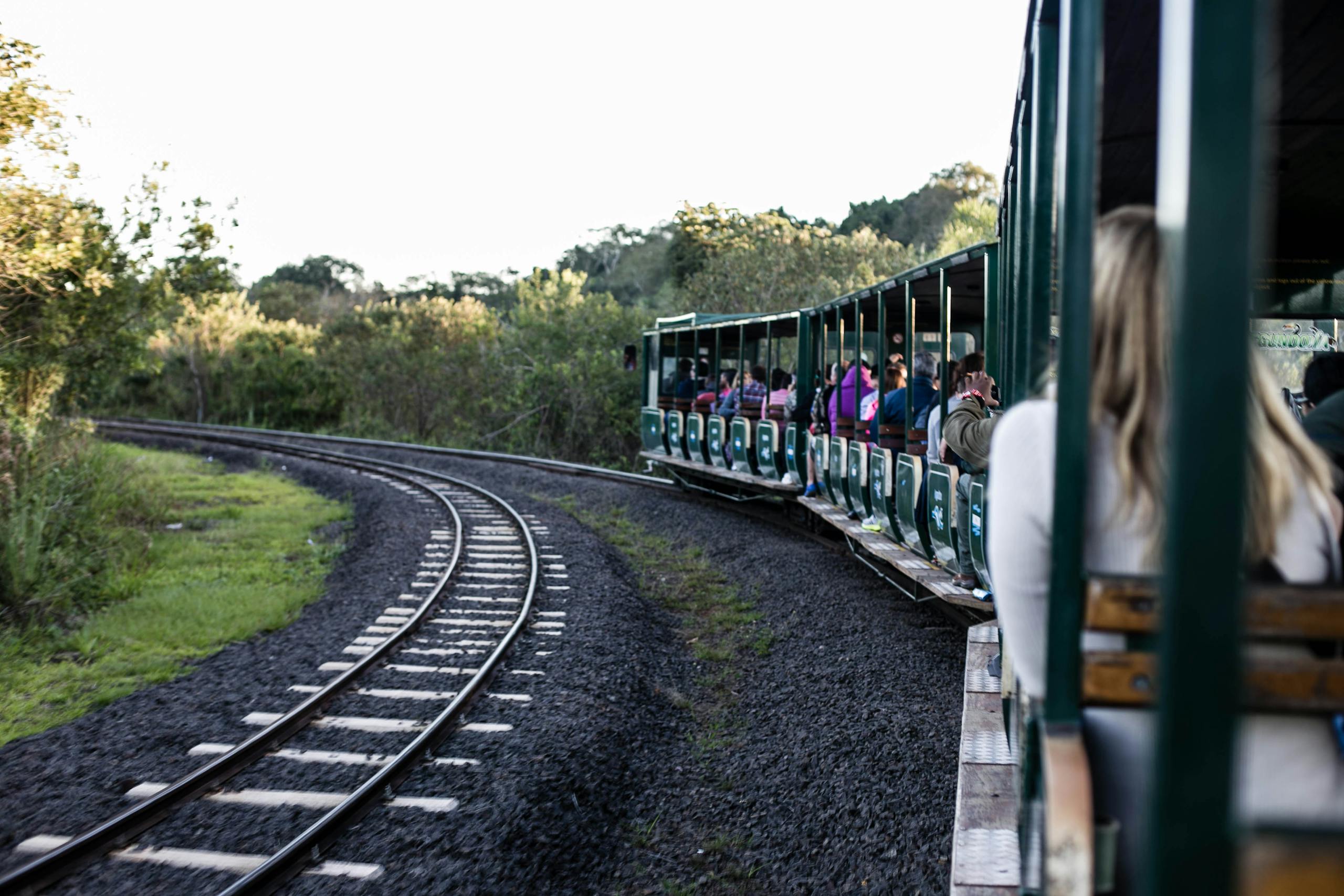 A scenic train ride through lush greenery with passengers enjoying the view.