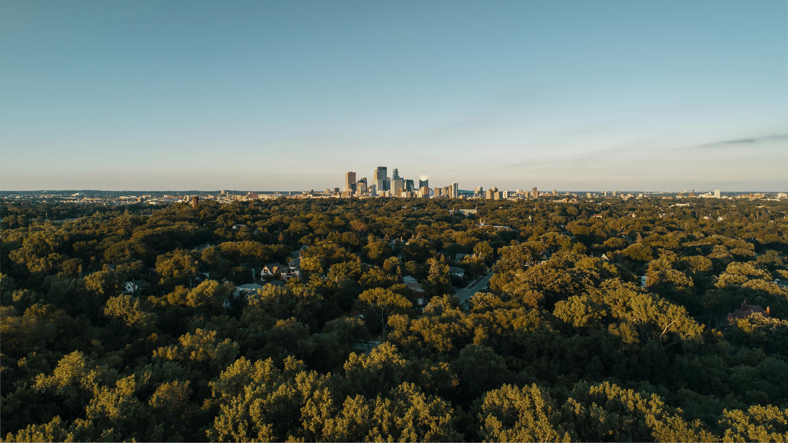 Aerial shot of a city skyline surrounded by dense green forest under a clear blue sky.