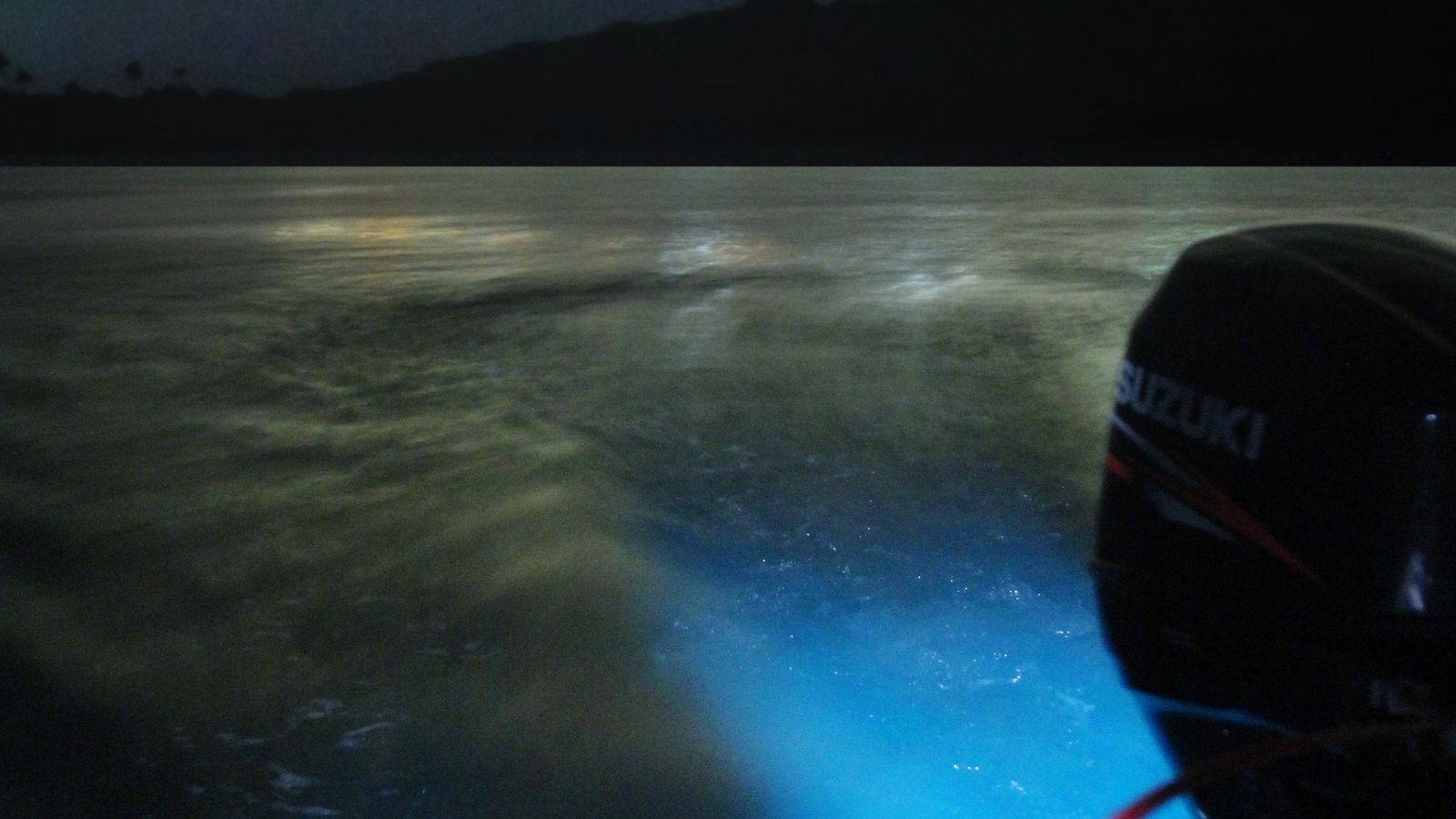 Mesmerizing Destinations to Witness Glow-In-The-Dark Natural Wonders