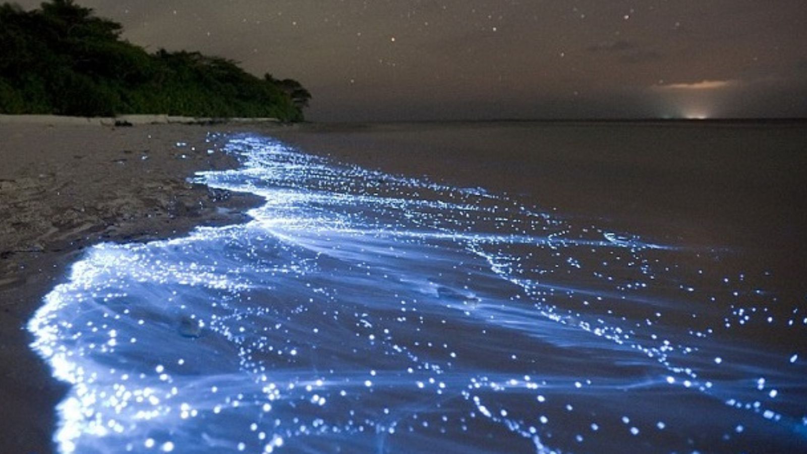 Mesmerizing Destinations to Witness Glow-In-The-Dark Natural Wonders