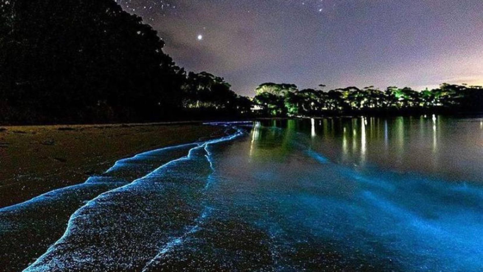 Mesmerizing Destinations to Witness Glow-In-The-Dark Natural Wonders