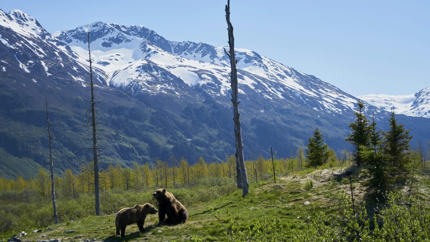 Must-See Wonders of Alaska