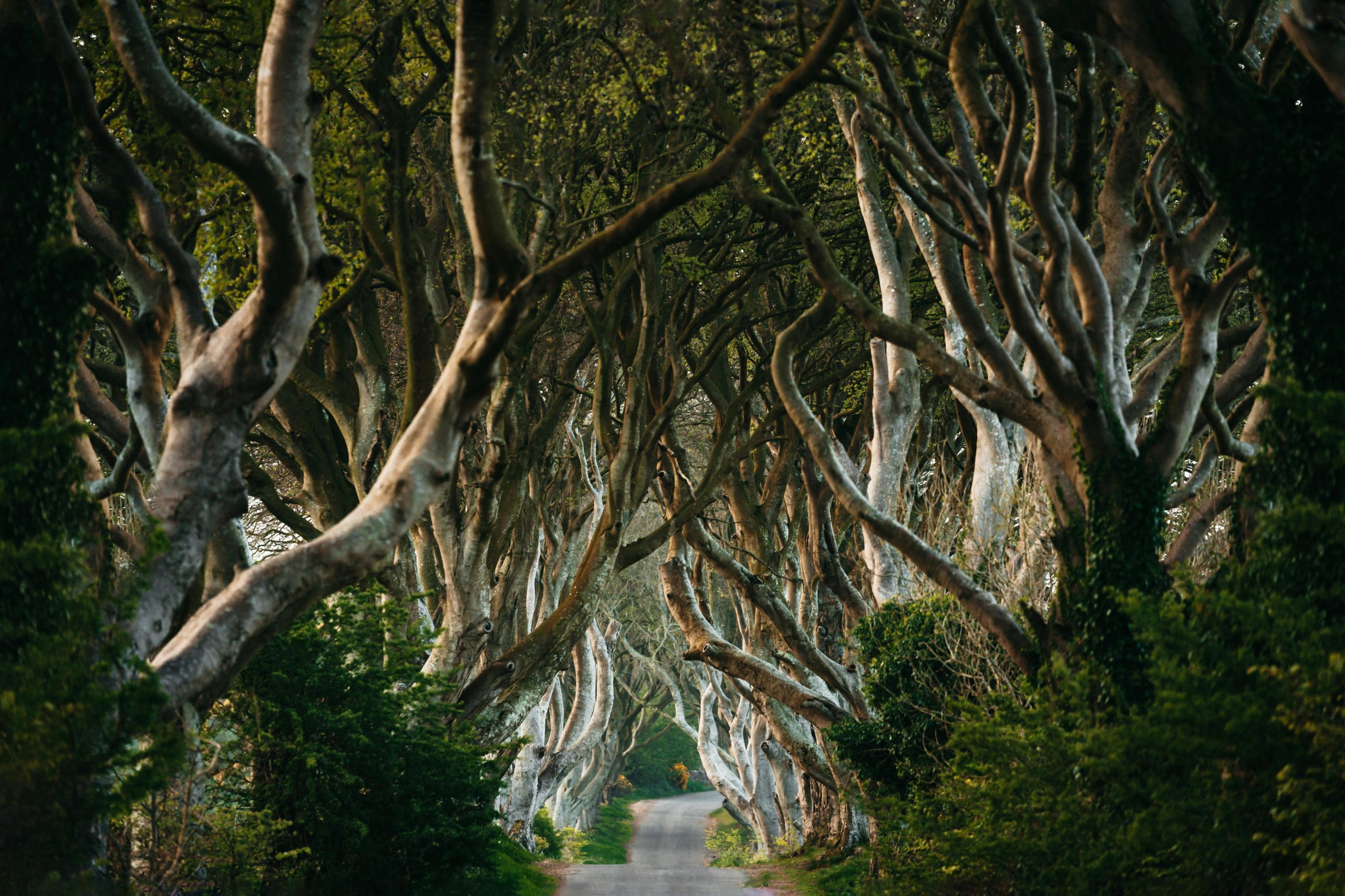 15 Legendary Places That Seem Unreal